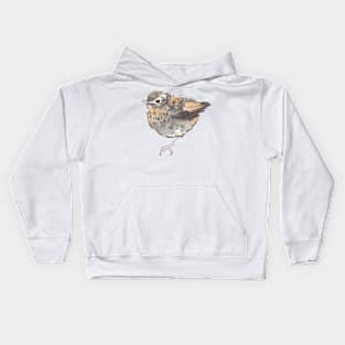 Robin Kids Hoodie